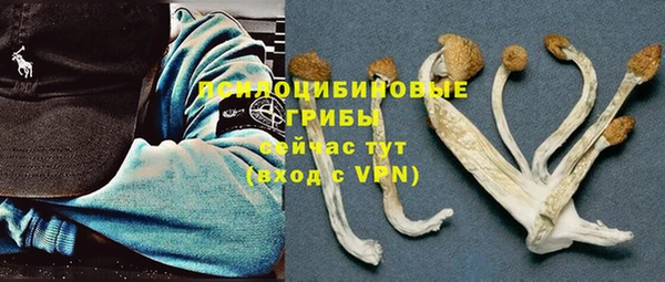 а пвп мука Белокуриха