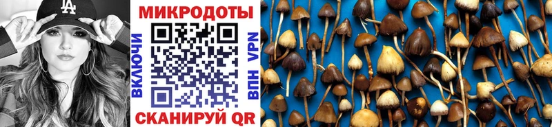 Псилоцибиновые грибы ЛСД  Мещовск 